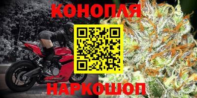 сатива Кулебаки