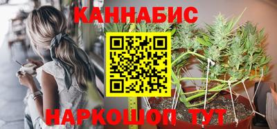 сатива Кулебаки