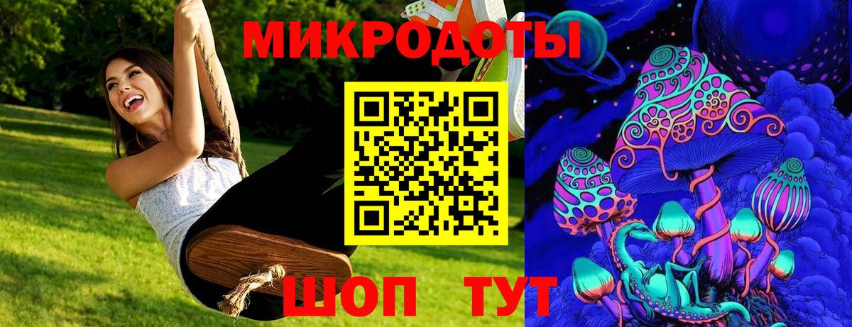 Псилоцибиновые грибы Psilocybe Грязи